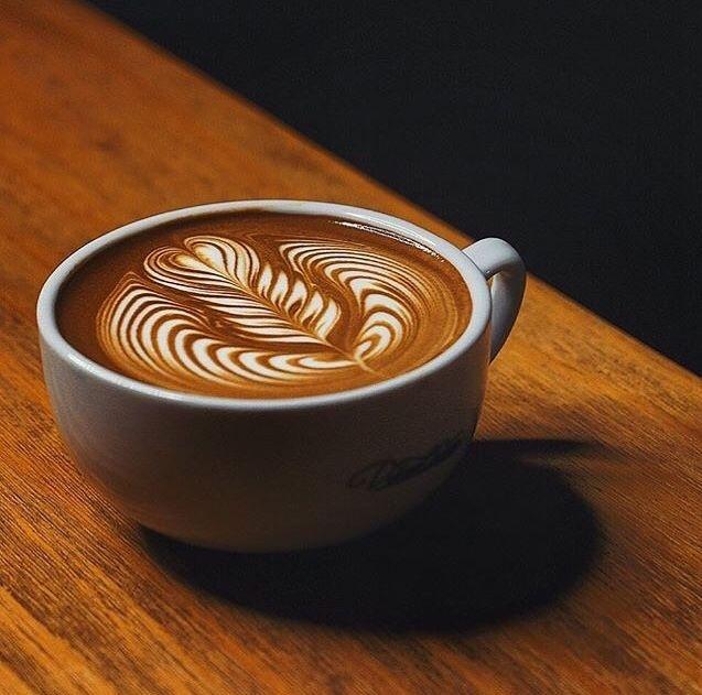 Velvet Harmony: Rich Espresso Symphony